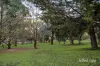 24 Struan Avenue, Mooroolbark, Vic 3138-Image