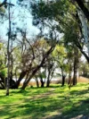 24 Swan Road, Riverglades, SA 5253-Image