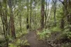24 Symons Road, Avonsleigh, Vic 3782-Image