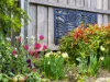 24 Tanundal Street, Howrah, Tas 7018-Image