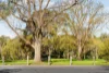 24 The Esplanade, Clifton Hill, Vic 3068-Image