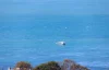 24 Three Gullies Road, Encounter Bay, SA 5211-Image