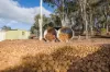 24 Timber Creek Crescent, Coondle, WA 6566-Image
