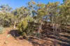 24 Timber Creek Crescent, Coondle, WA 6566-Image