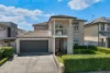 24 Tuckeroo Circuit, Adamstown, NSW 2289