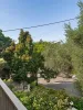 24 Turner Avenue, New Farm, Qld 4005-Image