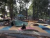 24 Tyneside Avenue, Willoughby, NSW 2068-Image
