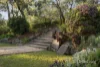 24 Warringah Crescent, Eltham, Vic 3095-Image