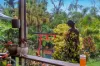 24 Yarraowee Drive, Nerang, Qld 4211-Image