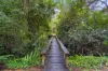 24 Yarraowee Drive, Nerang, Qld 4211-Image