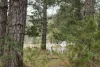 240 Caoura Road Tallong, Marulan, NSW 2579-Image