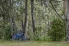 240 Caoura Road Tallong, Marulan, NSW 2579-Image