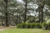 240 Caoura Road Tallong, Marulan, NSW 2579-Image