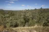 240 Turtledove Drive, Lower Chittering, WA 6084-Image