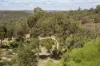 240 Turtledove Drive, Lower Chittering, WA 6084-Image