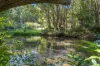 241 Burringbar Road, Burringbar, NSW 2483-Image