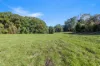 241 Burringbar Road, Burringbar, NSW 2483-Image