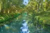 241 Burringbar Road, Burringbar, NSW 2483-Image