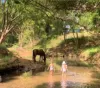 241 Burringbar Road, Burringbar, NSW 2483-Image