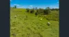 241 Coraki Road, South Gundurimba, NSW 2480-Image
