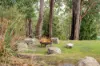 241 Old Station Road, Lower Snug, Tas 7054-Image