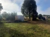 242 Reidys Rd, Wooroonden, Qld 4605-Image