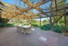 242 Segenhoe Road, Scone, NSW 2337-Image