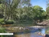 242 Syndicate Road, Tallebudgera, Qld 4228-Image