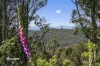 242 Watsons Road, Kettering, Tas 7155-Image