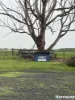 242 Wonnerup South Road, Yalyalup, WA 6280-Image