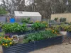 2425 Ararat-st Arnaud Road, Landsborough, Vic 3384-Image