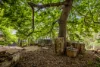 243 Upper Sturt Road, Upper Sturt, SA 5156-Image
