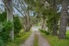 2434A Kersbrook Road, Kersbrook, SA 5231-Image
