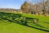 244 Allen Road, Springrange, NSW 2618-Image