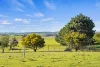 244 Allen Road, Springrange, NSW 2618-Image