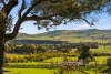 244 Allen Road, Springrange, NSW 2618-Image
