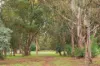 244 Antill Street, Hackett, ACT 2602-Image