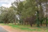 244 Antill Street, Hackett, ACT 2602-Image