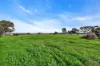 244 Dawkins Road, Lewiston, SA 5501-Image