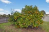 244 Maffra-Briagolong Road, Maffra, Vic 3860-Image