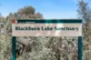 244 Middleborough Road, Blackburn South VIC 3130-Image