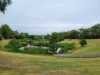 244 Middleborough Road, Blackburn South VIC 3130-Image