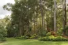 244 Mirbelia Pl, Doonan, Qld 4562-Image
