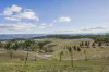 244 Toops Hill Road, McLaren Flat, SA 5171-Image