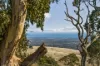 244 Toops Hill Road, McLaren Flat, SA 5171-Image
