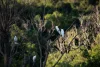 245-247 Kureelpa Falls Road, Kureelpa, Qld 4560-Image