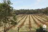 245 Benrua Road, Clackline, WA 6564-Image