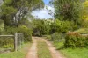 245 Mount Macedon Road, Macedon, Vic 3440-Image