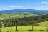 245 Rogers Road, Trafalgar, Vic 3824-Image