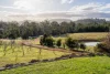 2453 Arthur Highway, Copping, Tas 7174-Image